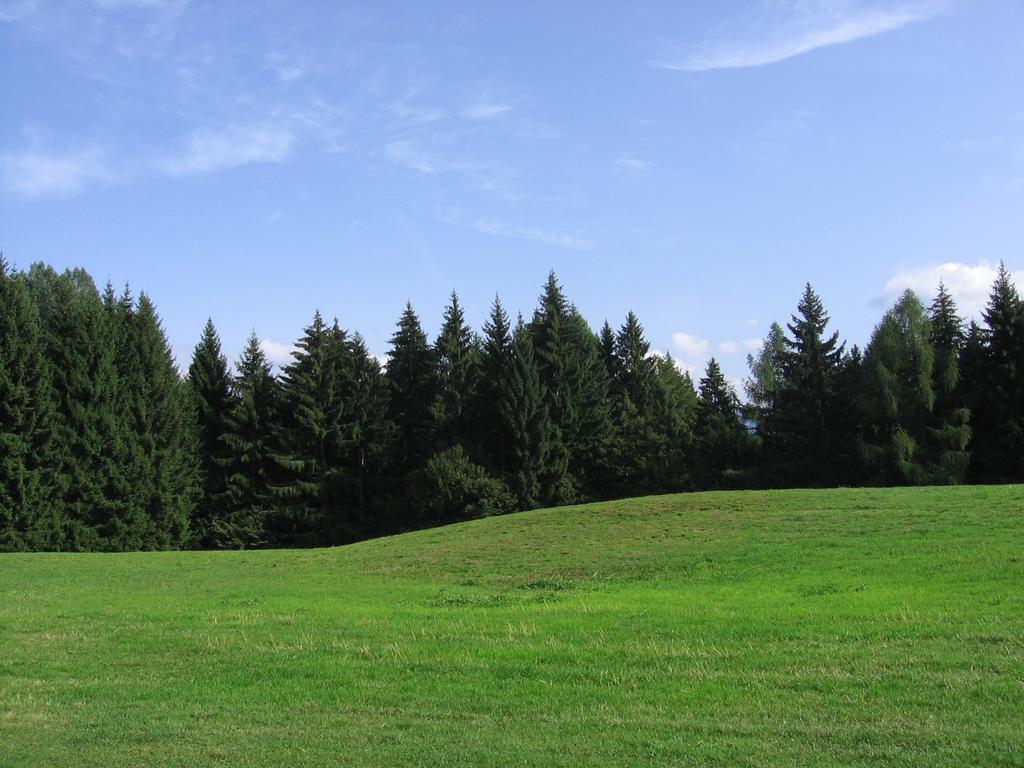 Hotel Concordia Levico Terme Esterno foto